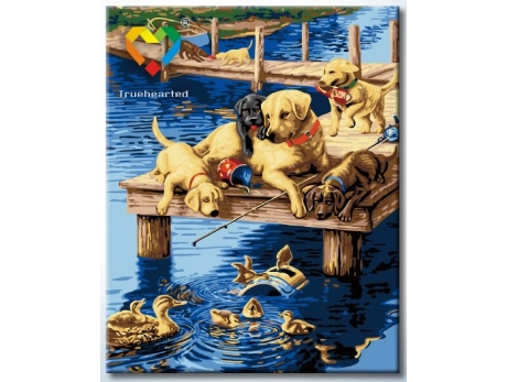 Labrador i kaczki