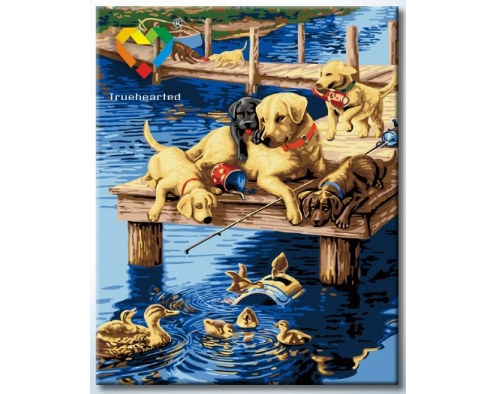 Labrador i kaczki