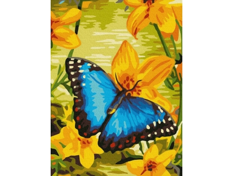 Błękitny motyl