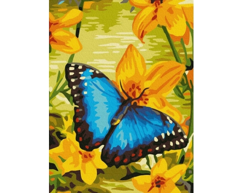 Błękitny motyl