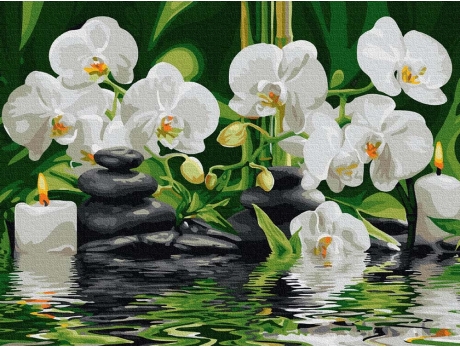 Storczyki w cichej wodzie 30x40cm