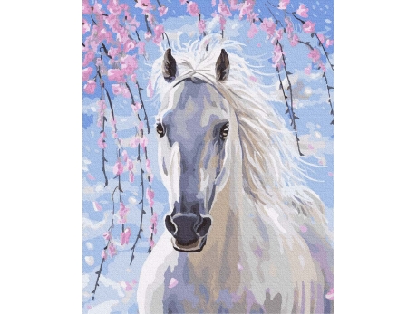 Bielszy niż śnieg 40x50cm