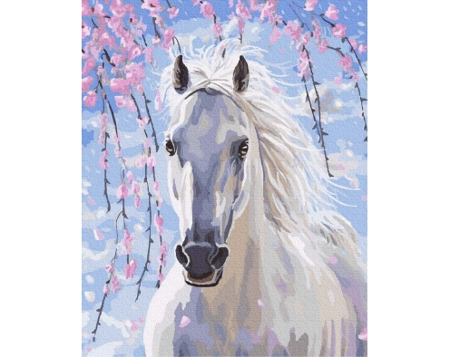 Bielszy niż śnieg 40x50cm