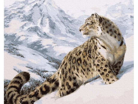 Pantera Śnieżna - Irbis 40x50cm