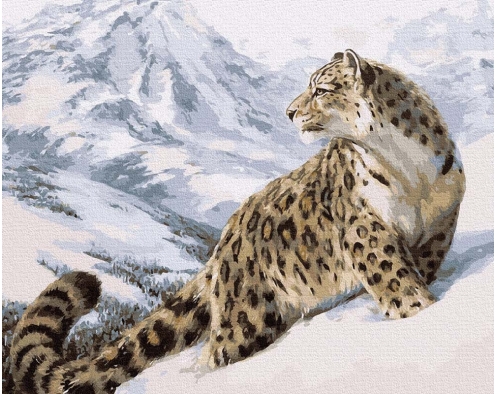 Pantera Śnieżna - Irbis 40x50cm
