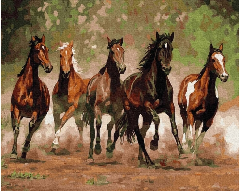 Konny wyścig 40x50cm