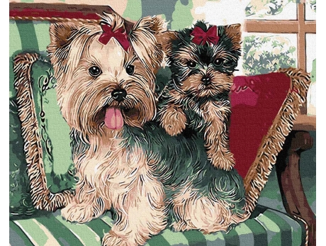 Yorki