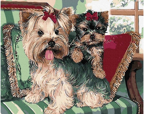 Yorki