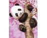 Słodka Panda 30x40 cm