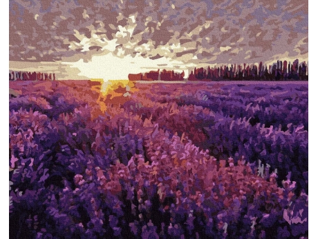 Zachód słońca nad polem lawendy 40x50cm