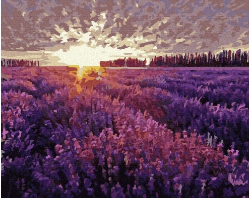 Zachód słońca nad polem lawendy 40x50cm