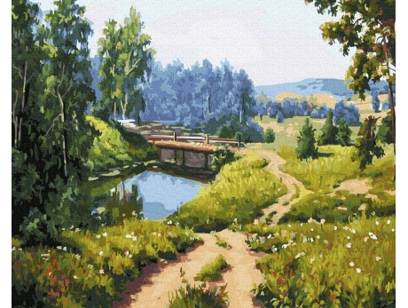 Kolorowy kot
