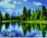 Drzewo życzeń 40x50cm