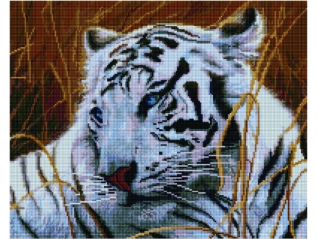 Uniesiona w powietrzu 50x65cm