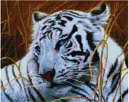 Uniesiona w powietrzu 50x65cm