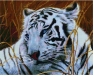 Uniesiona w powietrzu 50x65cm